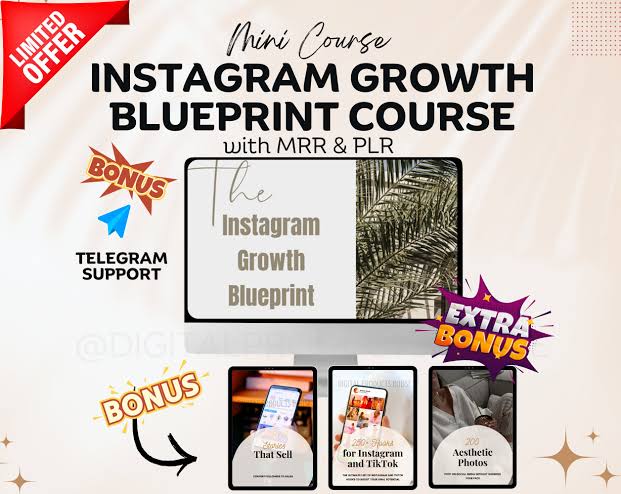 Instagram Growth Blueprint 2025
